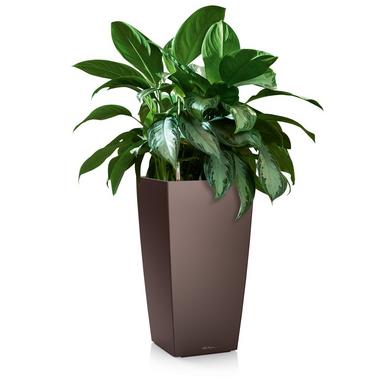 CUBICO 22 espresso metallic